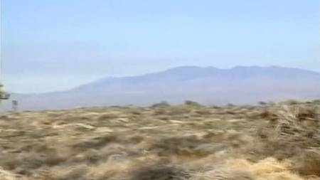 Секс во время движения авто