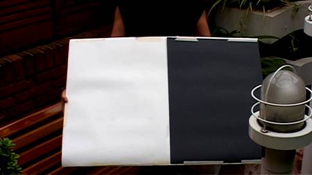 Шимале получил в жопу от негра