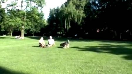 Телка кончила в домашнем порно