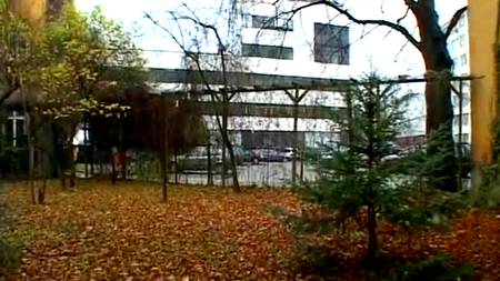 Отличная рыжая жена