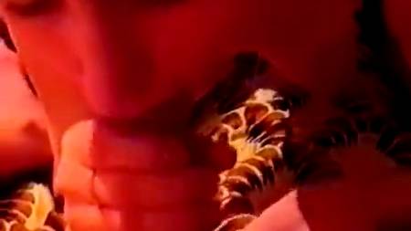 Домашний трах на фоне ковра