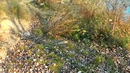 Трах по знакомству