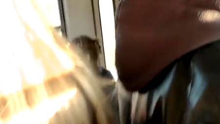 Трах по знакомству