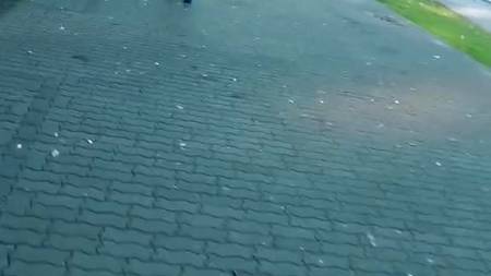 Трах по знакомству