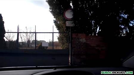 Красавица за деньги отдалась в автомобиле