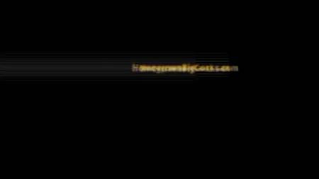 Дебютантка Синди