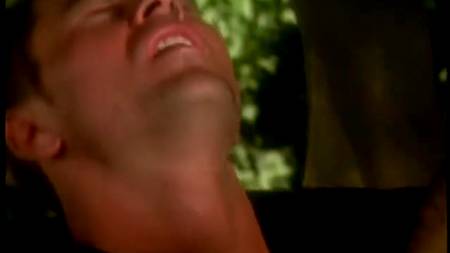 Кучер вставил своей хозяйке