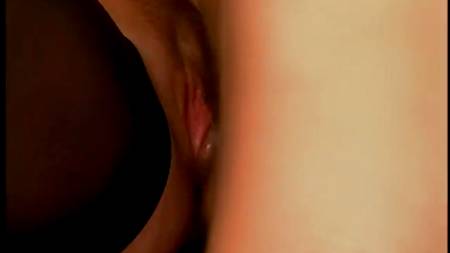 Кучер вставил своей хозяйке