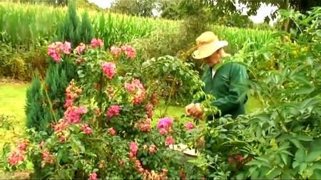 Французская групповуха с аналом