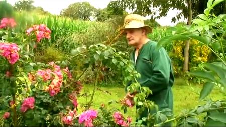 Французская групповуха с аналом