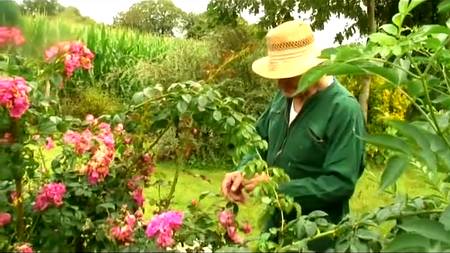 Французская групповуха с аналом