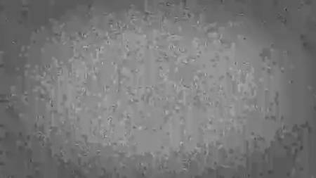 Секс и деньги всегда рядом