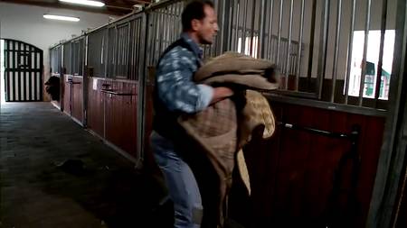 Конюх оседлал сексапильную кобылку