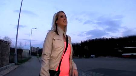 Сладко потрахались ночью в кустах