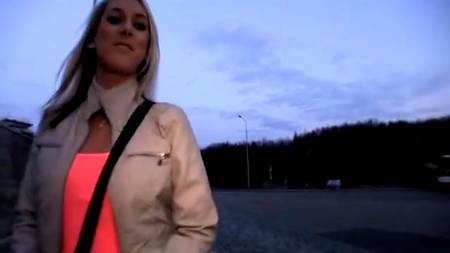 Сладко потрахались ночью в кустах