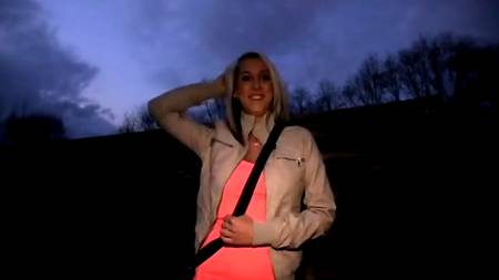 Сладко потрахались ночью в кустах