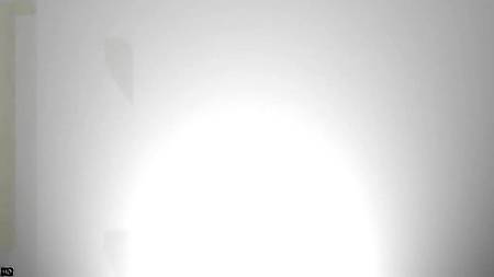 Молодые и соблазнительные любительницы протеина